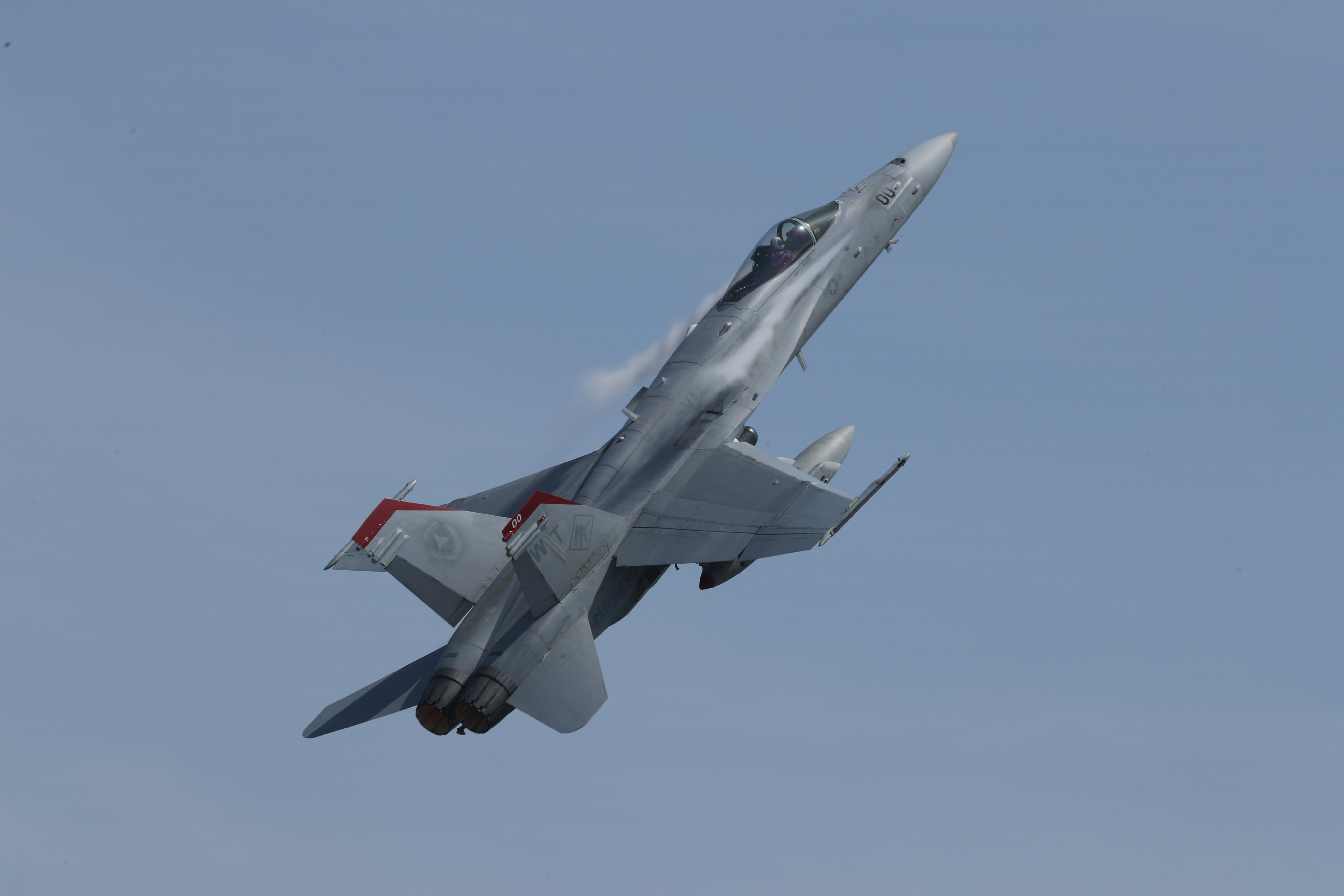 Canon EOS-1D X Mark II / EF600mm F4L IS III USM / シャッター優先AE（1/2,500秒、F11、-0.7EV） / ISO 100