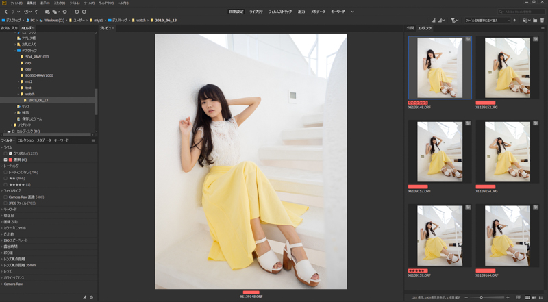 Adobe Bridgeのプレビュー画面。