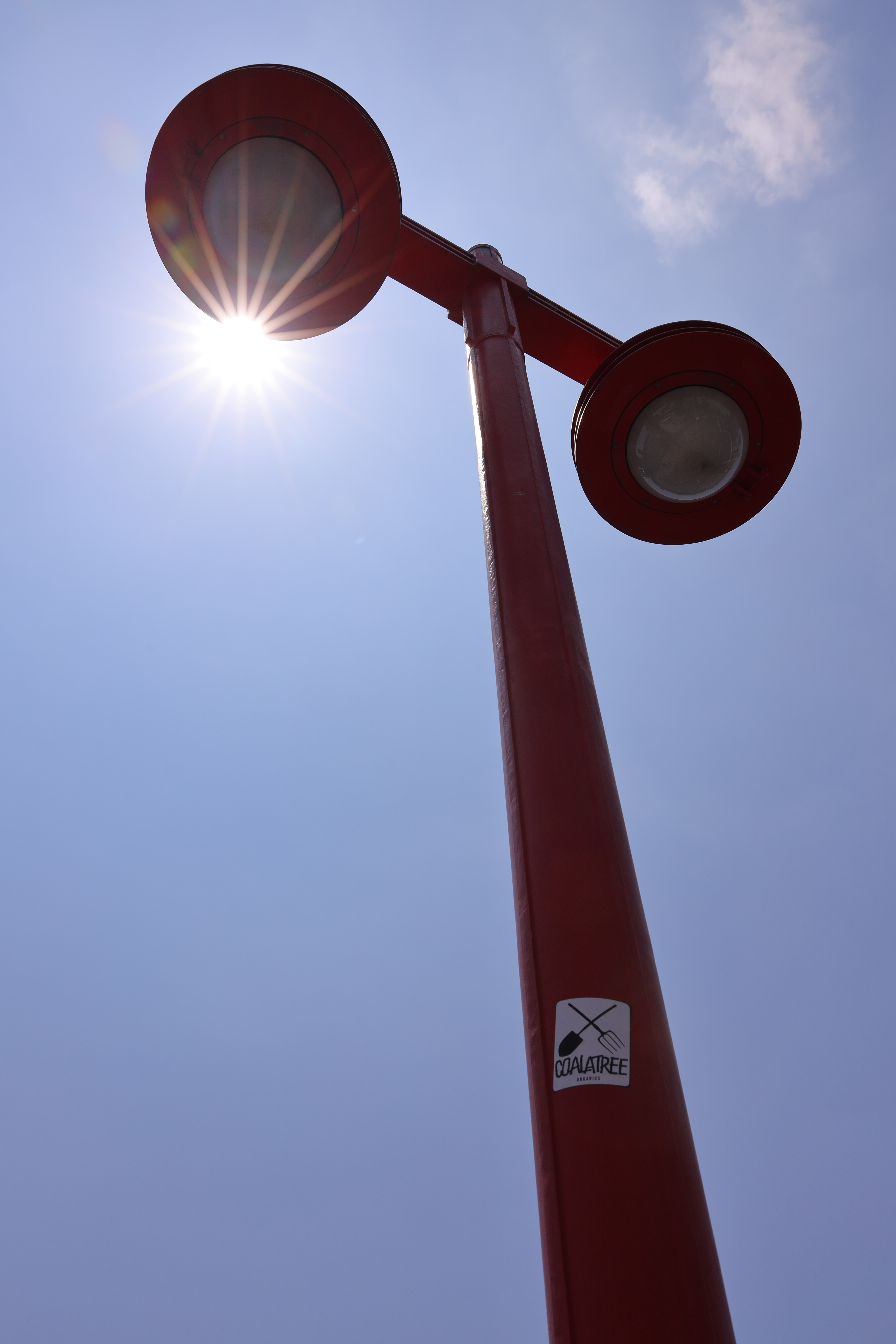 Canon EOS R / RF28-70mm F2 L USM / 70mm / 絞り優先AE（1/500秒、F11、±0EV） / ISO 100