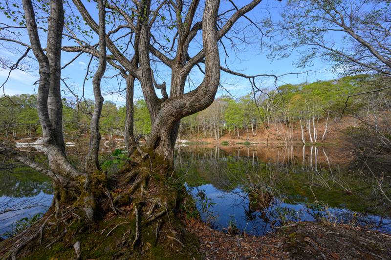一瞬風が止み、湖面が水鏡になった。慌てて手持ちでカメラを構える。電子ビューファインダーに水準器を表示できるため、手持ちでも水平が取りやすく、速やかに構図が決まる。<br>Z 7 / NIKKOR Z 14-30mm f/4 S / 14mm / マニュアル露出（F7.1・1/125秒） / ISO 100