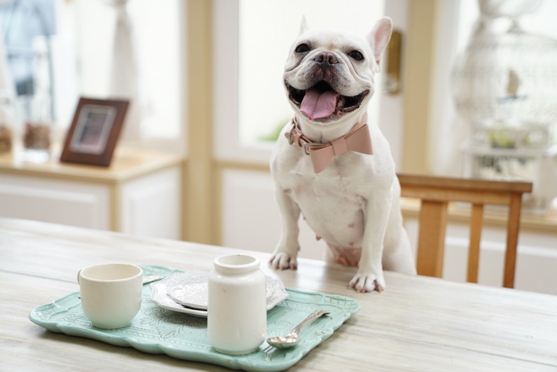 α7 IIIのリアルタイム瞳AFを使って撮影：sarah_star1021さん<br><span class="fnt-85">α7 III / FE 24-70mm F2.8 GM / 58mm / 絞り優先AE（1/800秒・F2.8・＋1.3EV） / ISO 800</span>