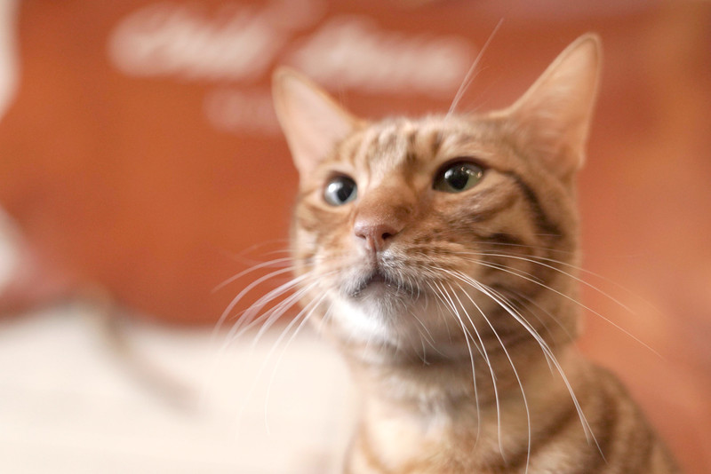 撮影：小川晃代さん