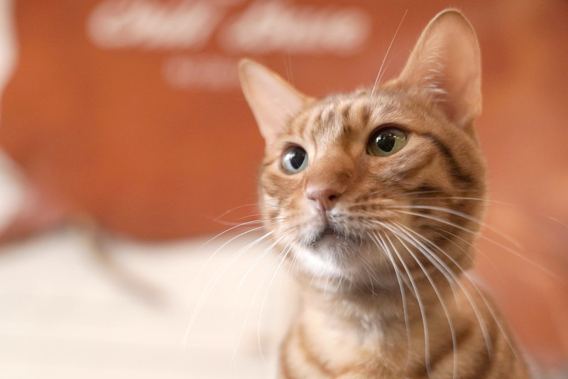 撮影：小川晃代さん