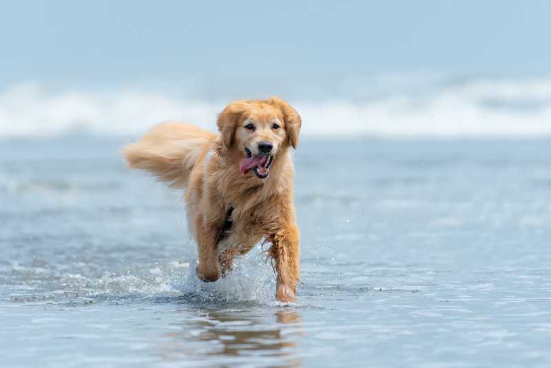 撮影：小川晃代さん