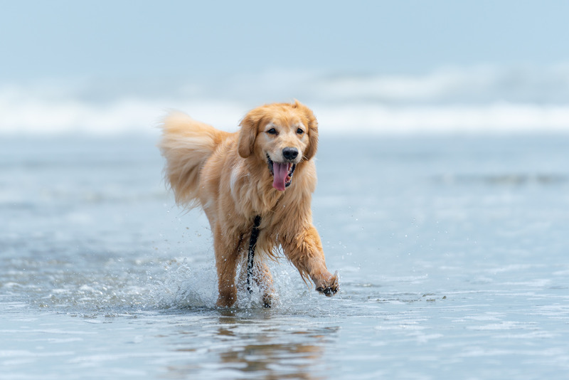 撮影：小川晃代さん