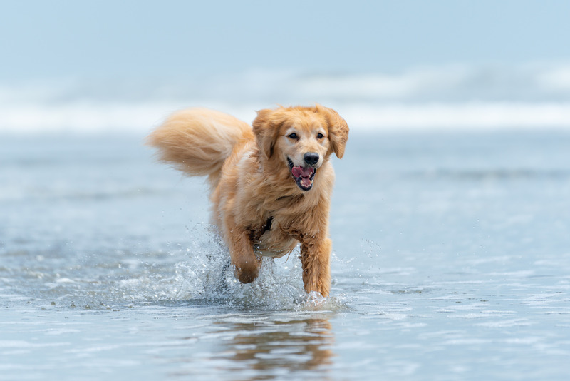 撮影：小川晃代さん