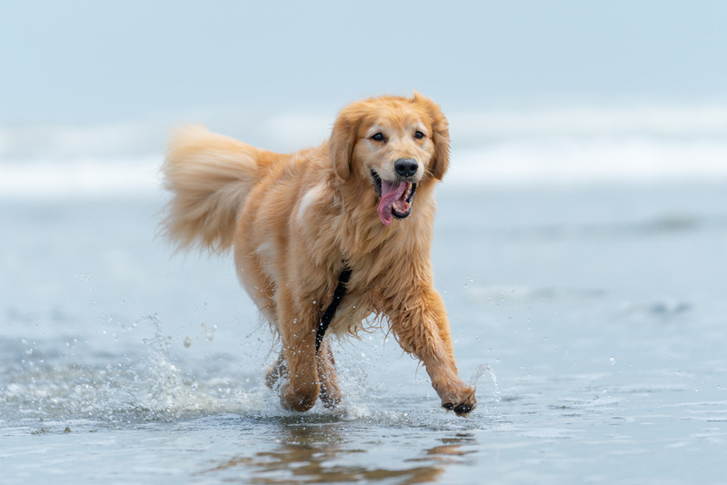 撮影：小川晃代さん
