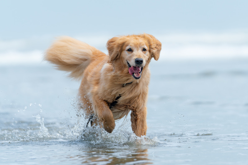 撮影：小川晃代さん