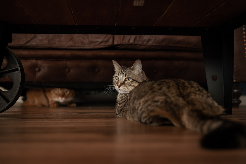 撮影：小川晃代さん