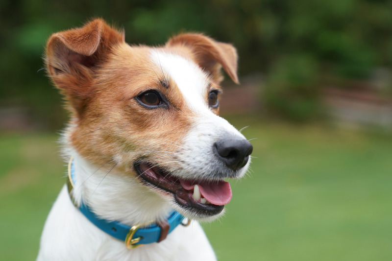 撮影：小川晃代さん