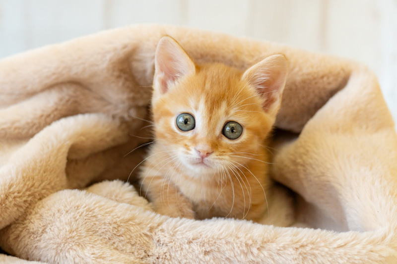 撮影：小川晃代さん