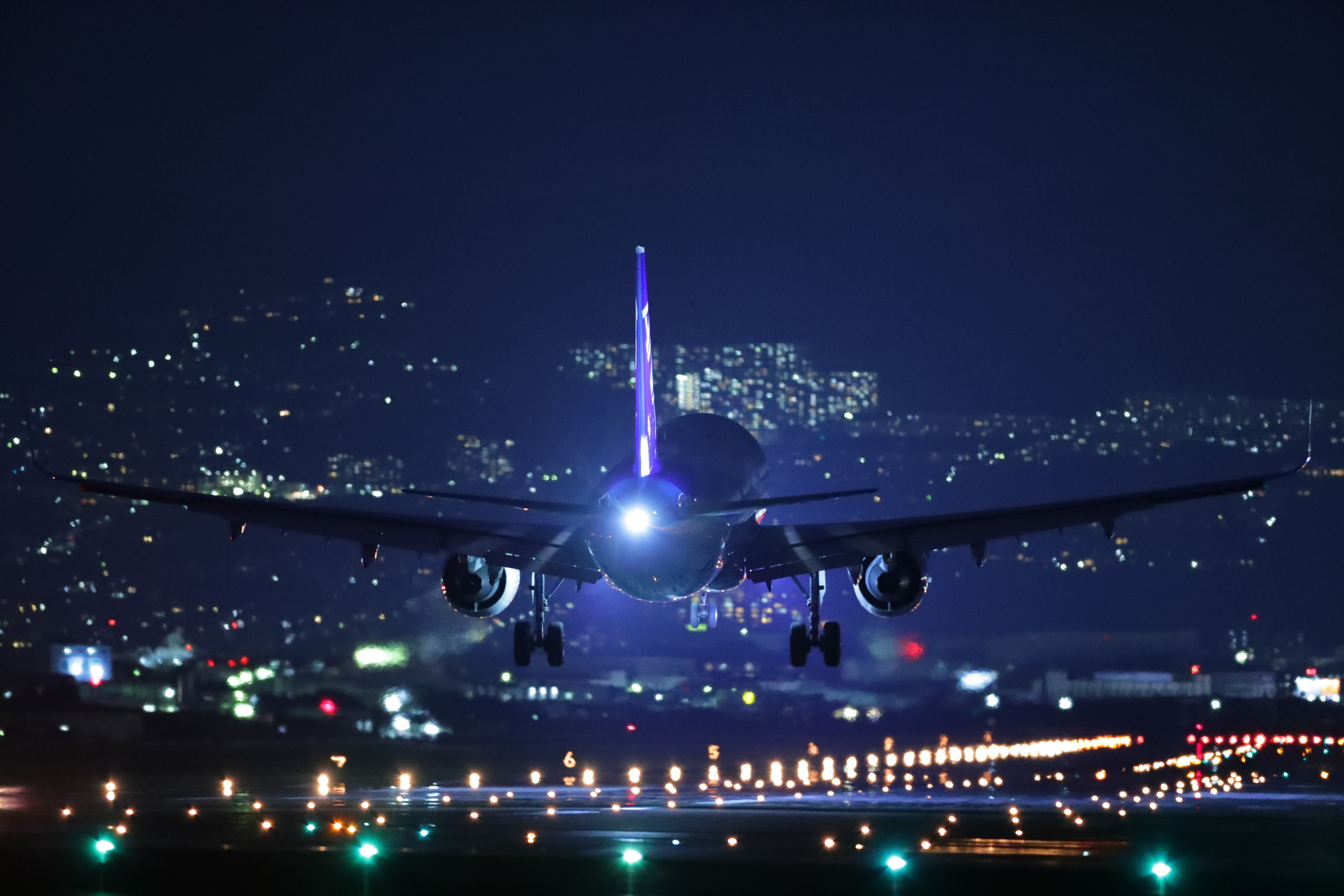 Canon EOS-1D X Mark II / EF400mm F2.8L IS III USM / マニュアル露出（1/80秒、F2.8） / ISO 20000