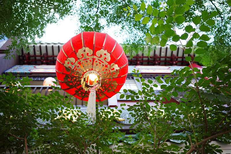 撮影：こばやしかをる