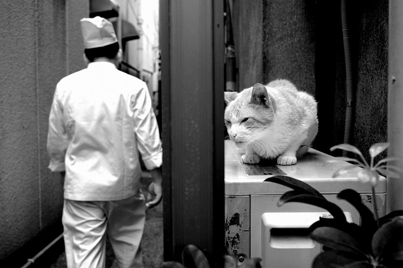 撮影：大門美奈（ハイコントラスト白黒）