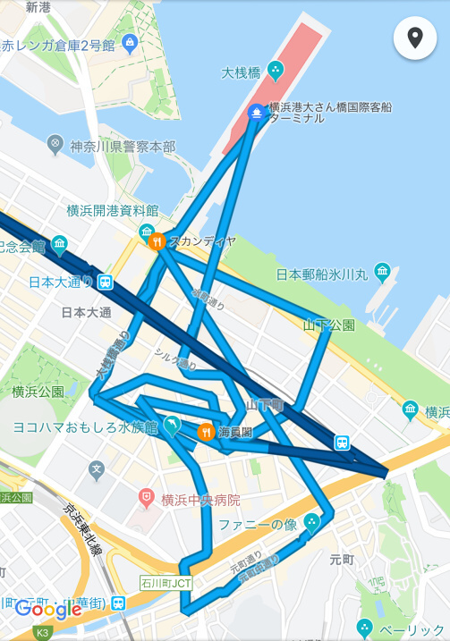 大門さんが当日歩いたルート。早足で、信号待ち以外はほぼ立ち止まらない。