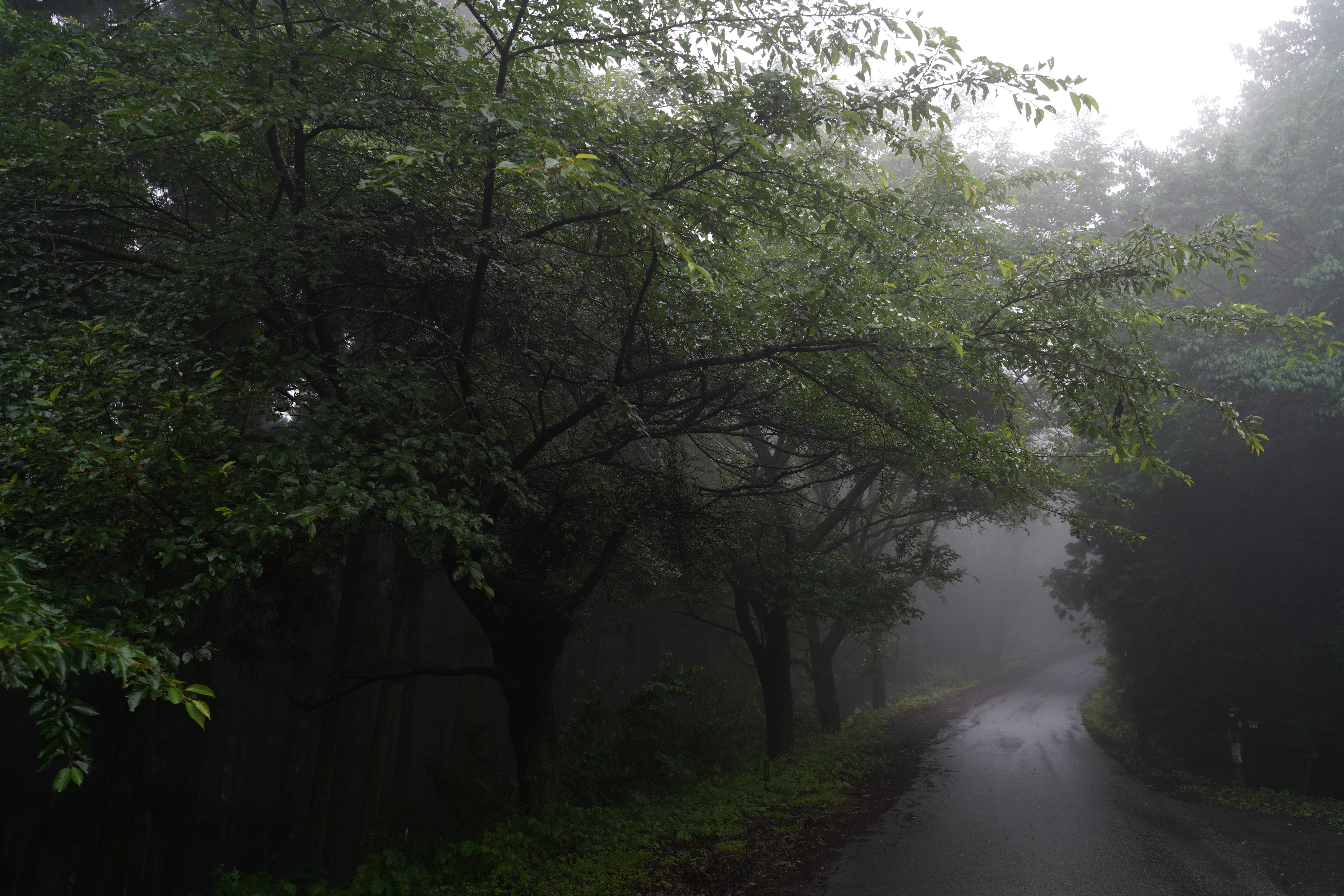 ソニーα7R III / タムロン 17-28mm F/2.8 Di III RXD / 28mm / マニュアル露出（F4.5・1/160秒） / ISO 200