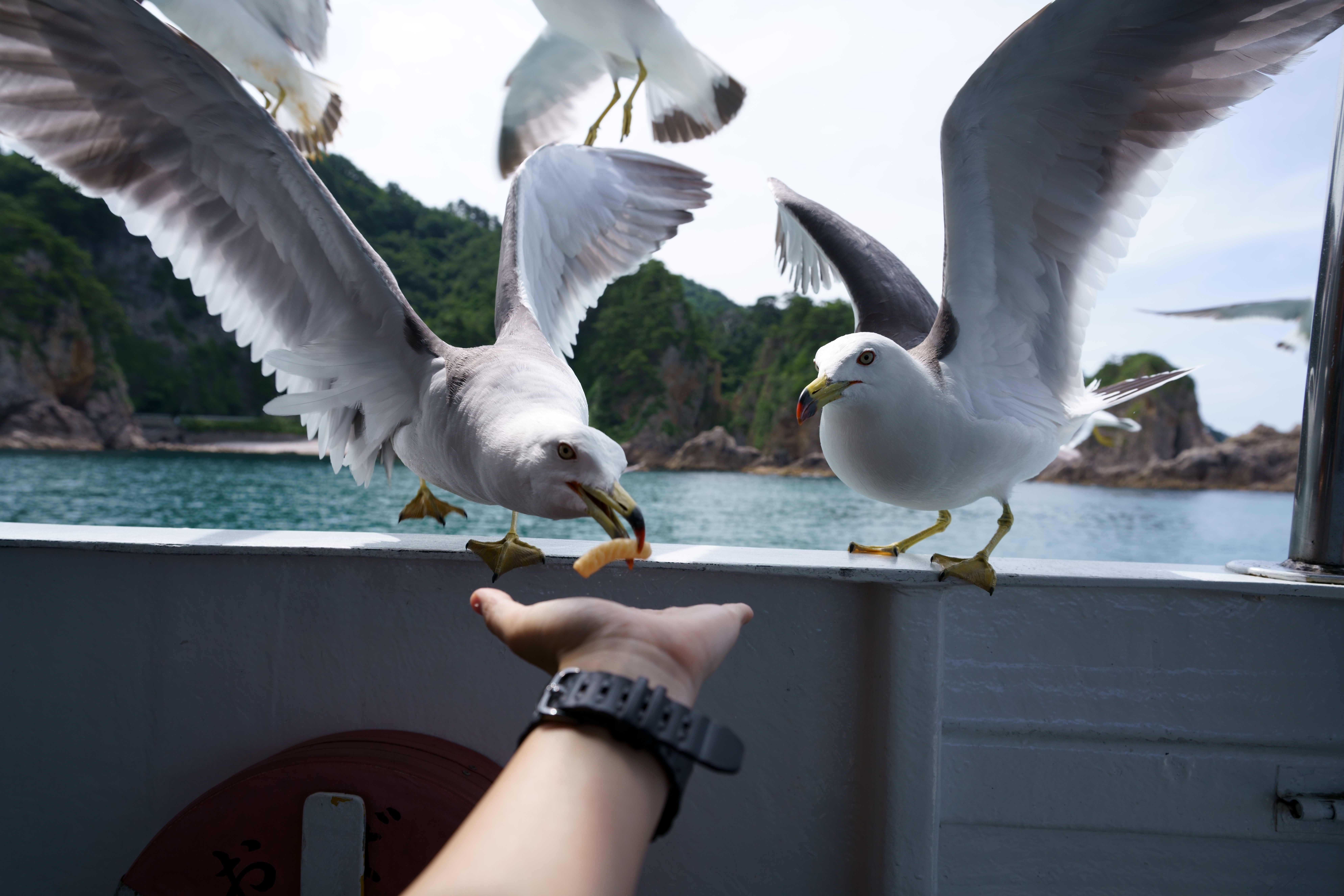 ソニーα7R III / タムロン 17-28mm F/2.8 Di III RXD / 22mm / マニュアル露出（F5.6・1/640秒） / ISO 100