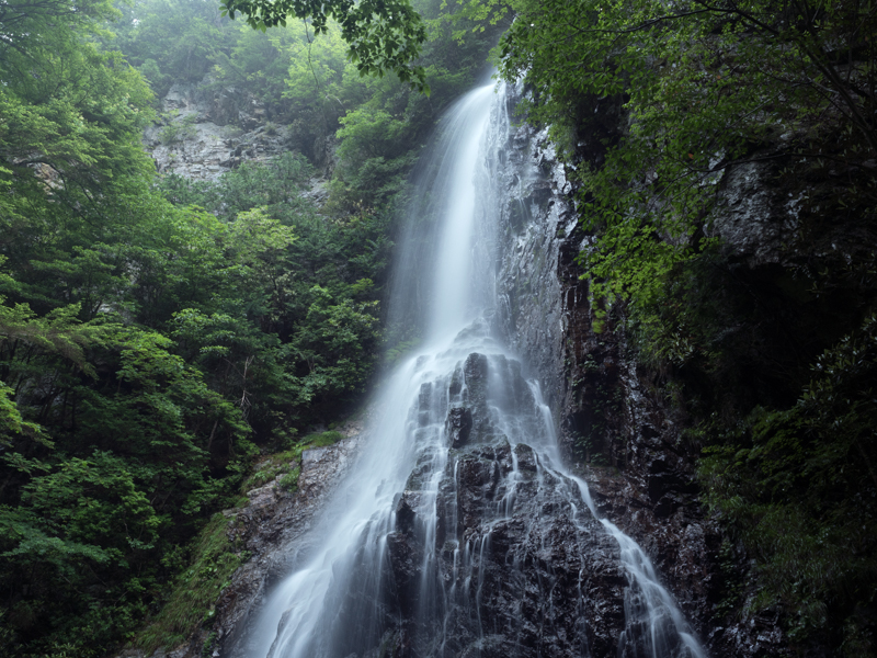 落差50mを誇る御船の滝。小雨に煙る幽玄なその姿を12-40mmで捉えた。晴れた日には虹がかかり、また真冬に冷え込む日が続くと氷瀑になることでも有名だ（撮影：高橋良典）。<br><span class="fnt-85">OLYMPUS OM-D E-M5 Mark II / M.ZUIKO DIGITAL ED 12-40mm F2.8 PRO / 16mm（32mm相当） / シャッター優先AE（F8、1/2秒、-0.5EV） / ISO 200 / WB：太陽光</span>