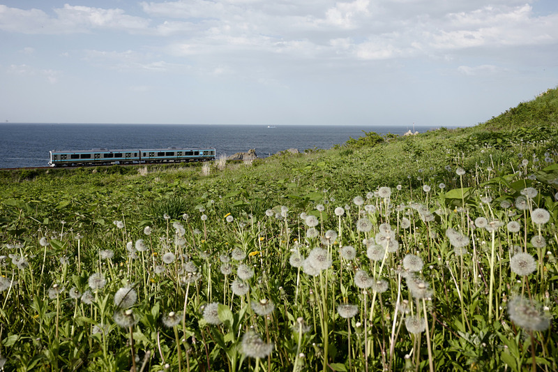 ライカSL (Typ 601)　SUPER-VARIO-ELMAR-SL F3.5-4.5/16-35mm ASPH.（27mm）　絞り優先オート（F9、1/320秒）　ISO 400　WB:太陽光