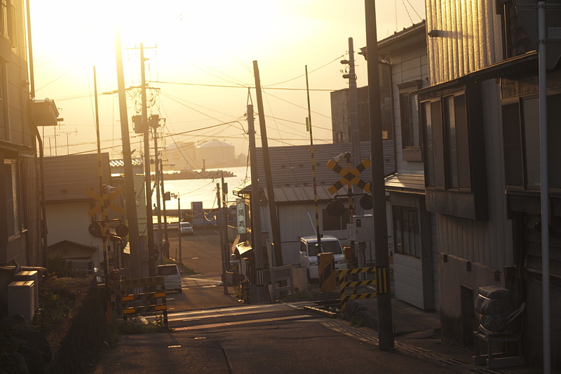 ライカM-P (Typ 240)　Elmar-M F2.8/50mm　絞り優先オート（F-、1/360秒）　ISO 250　WB:日陰