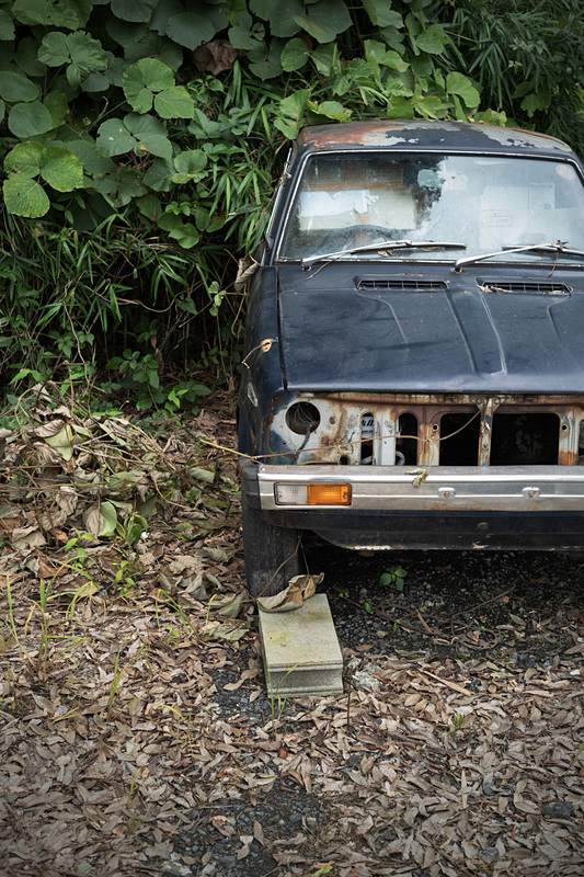 シャッターユニットはライカM10-Pと同じ静音タイプなので作動音はきわめて小さく、静寂なシーンを撮影しても場の空気感がかき乱されることはない。<br>ライカM10-D　ELMAR-M 50mm F2.8　ISO 200　F5.6　1/90秒　WBオート