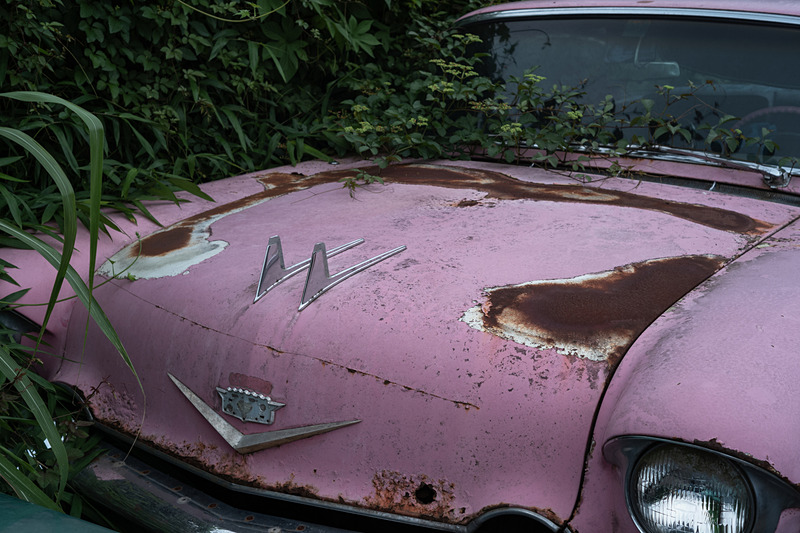 イメージセンサーは35mmフルサイズの24メガCMOS。ローパスレスなのでキレのいい描写を得られる。<br>ライカM10-D　ELMAR-M 50mm F2.8　ISO 200　F8　1/350秒　WBオート