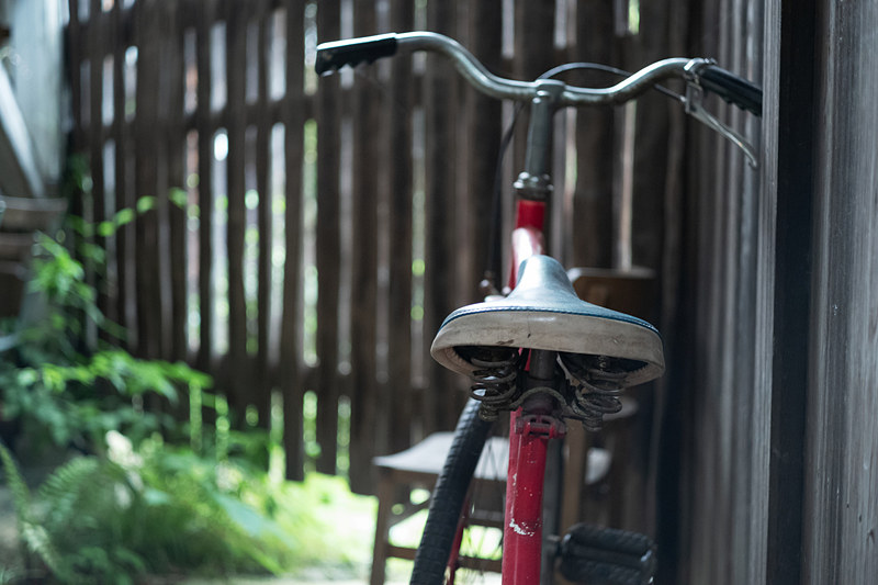 ピント合わせはレンジファインダーによるマニュアルフォーカス。ファインダーをのぞく前に、目測で大体の距離を合わせておくと素早くフォーカシングできるし、目測の勘も良くなる。<br>ライカM10-D　ELMAR-M 50mm F2.8　ISO 4000　F2.8　1/90秒　WBオート