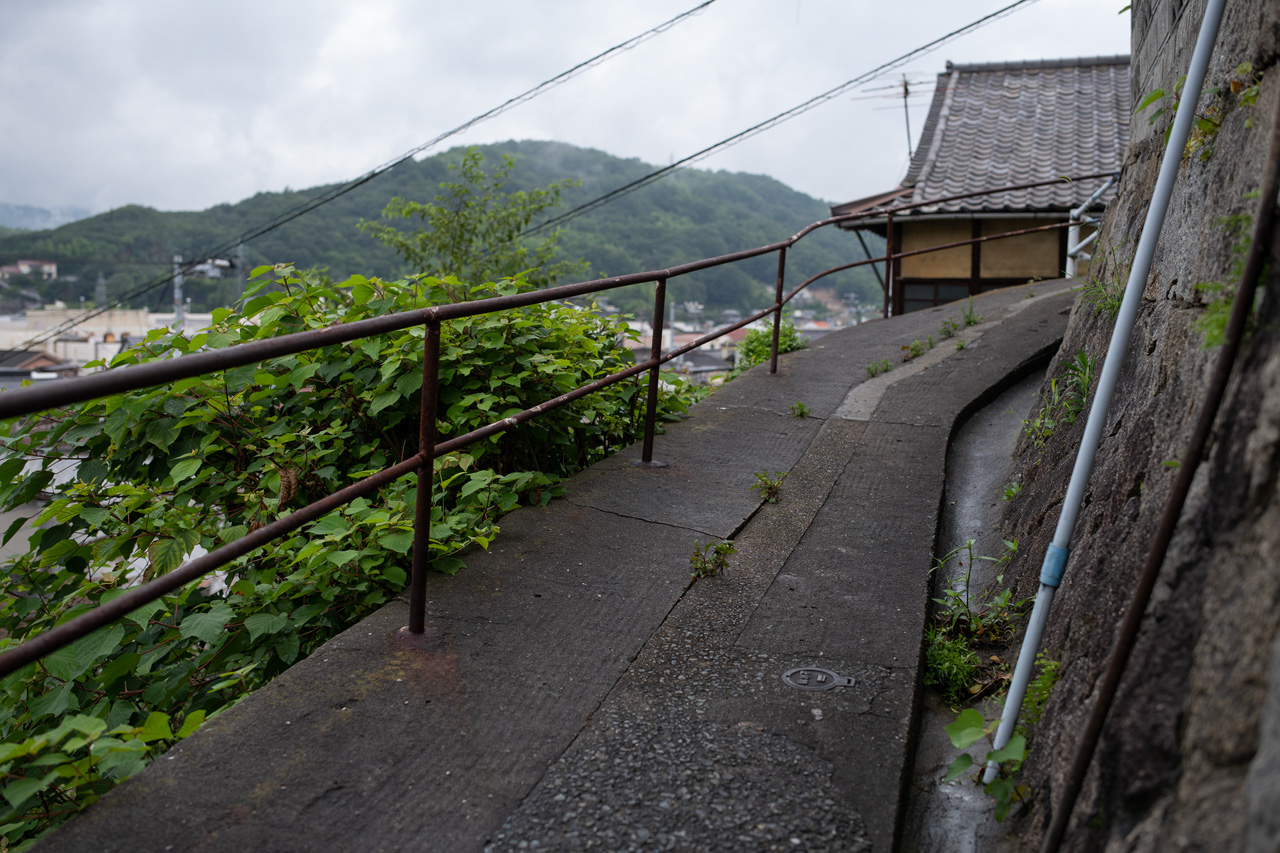 スライダーの操作でF1.4（左）とF2.8（右）に変化。<br>Nikon D850 / TAMRON SP 35mm F/1.4 Di USD / 絞り優先AE（1/2,000秒、±0EV） / ISO 100