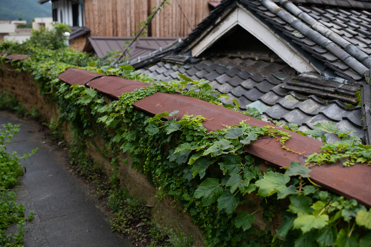 Nikon D850 / TAMRON SP 35mm F/1.4 Di USD / 絞り優先AE（F2.8、1/1,000秒、-0.7EV） / ISO 80