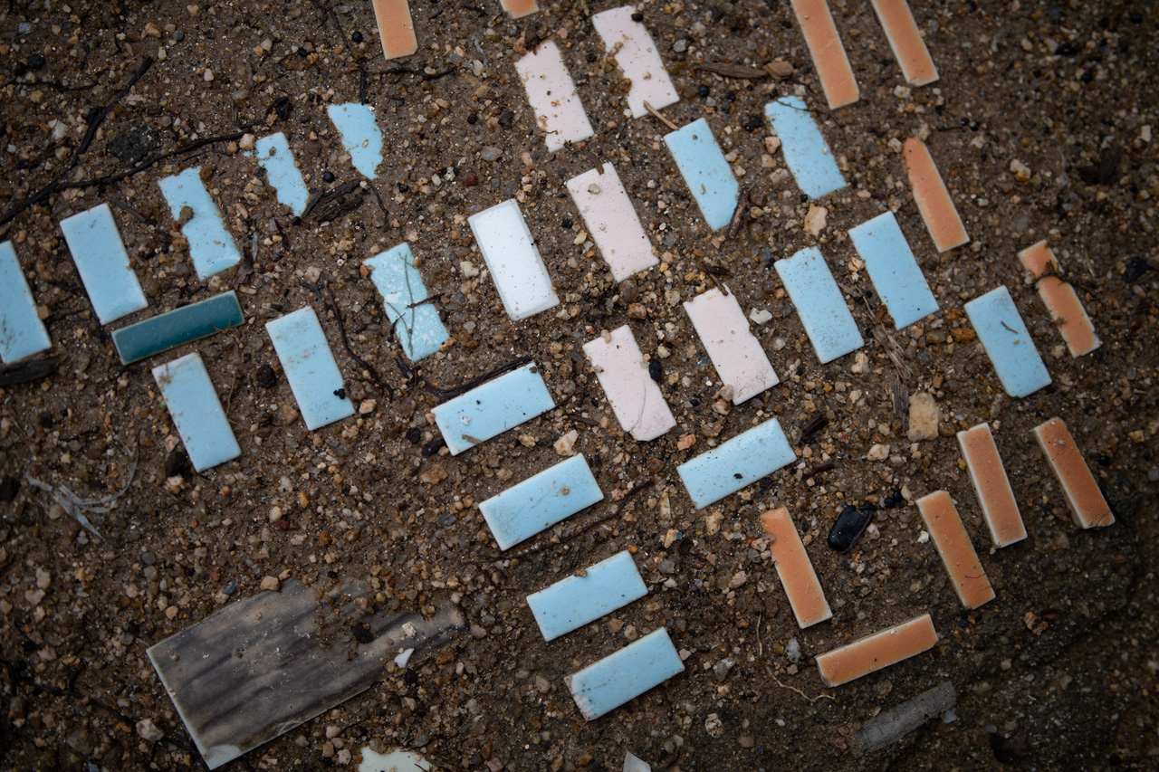 Nikon D850 / TAMRON SP 35mm F/1.4 Di USD / 絞り優先AE（F1.4、1/2,500秒、-0.7EV） / ISO 80