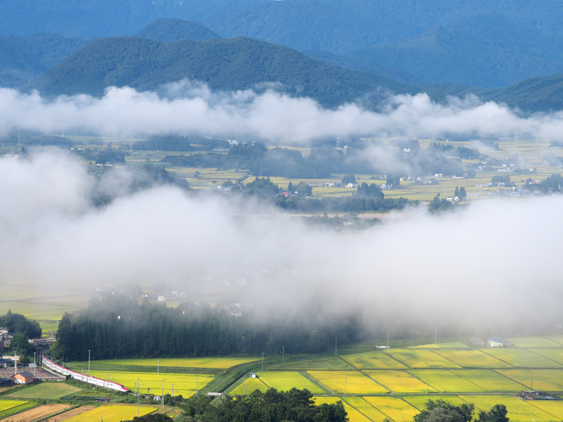 OM-D E-M1X / M.ZUIKO DIGITAL ED 40-150mm F2.8 PRO / 75mm（150mm相当） / 絞り優先AE（1/3,200秒・F3.5・-1.3EV） / ISO 200