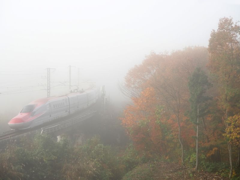 OM-D E-M1X / M.ZUIKO DIGITAL ED 40-150mm F2.8 PRO / 40mm（80mm相当） / 絞り優先AE（1/1,000秒・F3.2・±0.0EV） / ISO 200