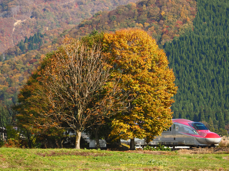 OM-D E-M1X / M.ZUIKO DIGITAL ED 40-150mm F2.8 PRO / 150mm（300mm相当） / 絞り優先AE（1/2,000秒・F3.5・-1.3EV） / ISO 200