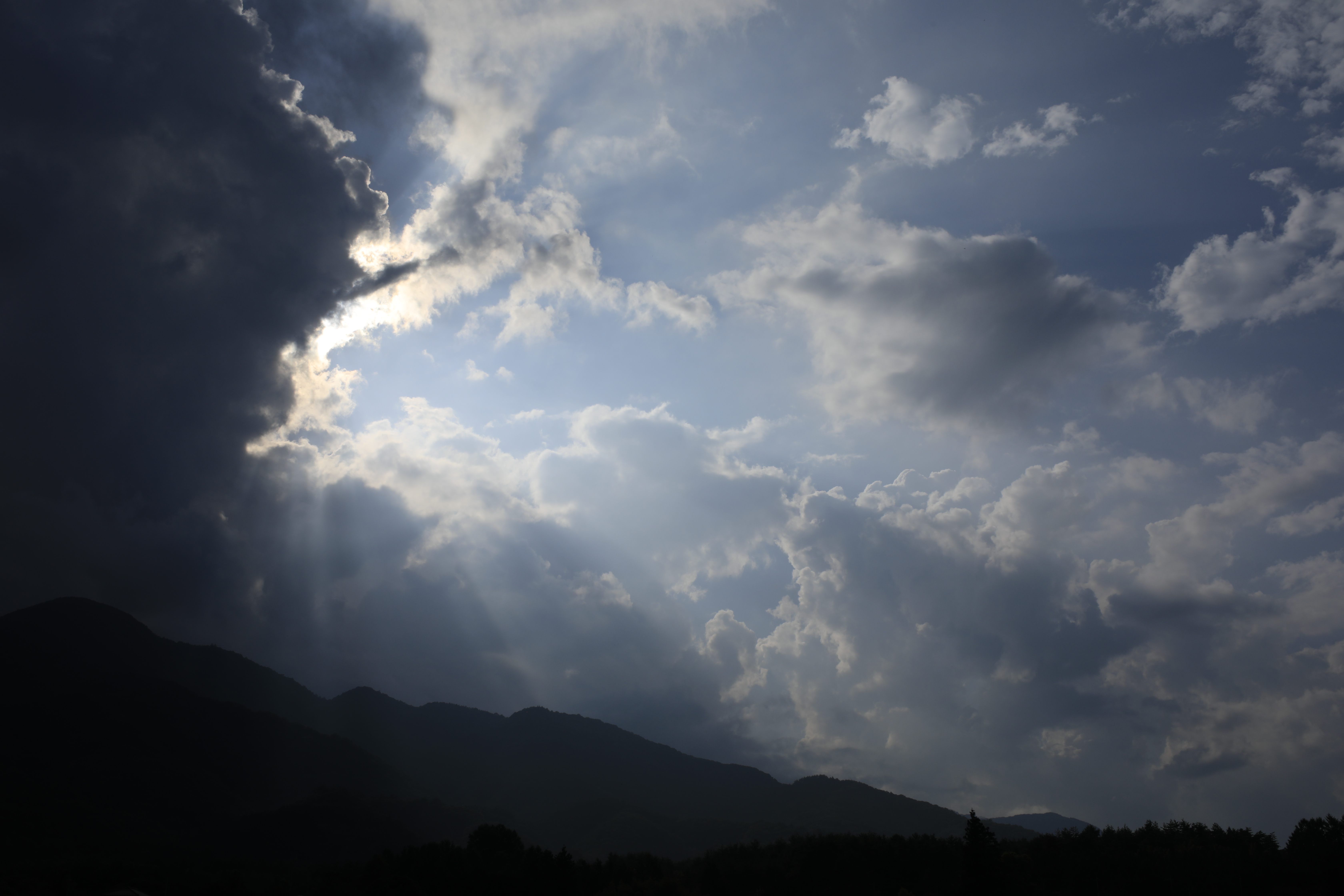 EOS 5D Mark IV / SP 35mm F/1.4 Di USD / 絞り優先AE（1/500秒・F16・-0.7EV） / ISO 100