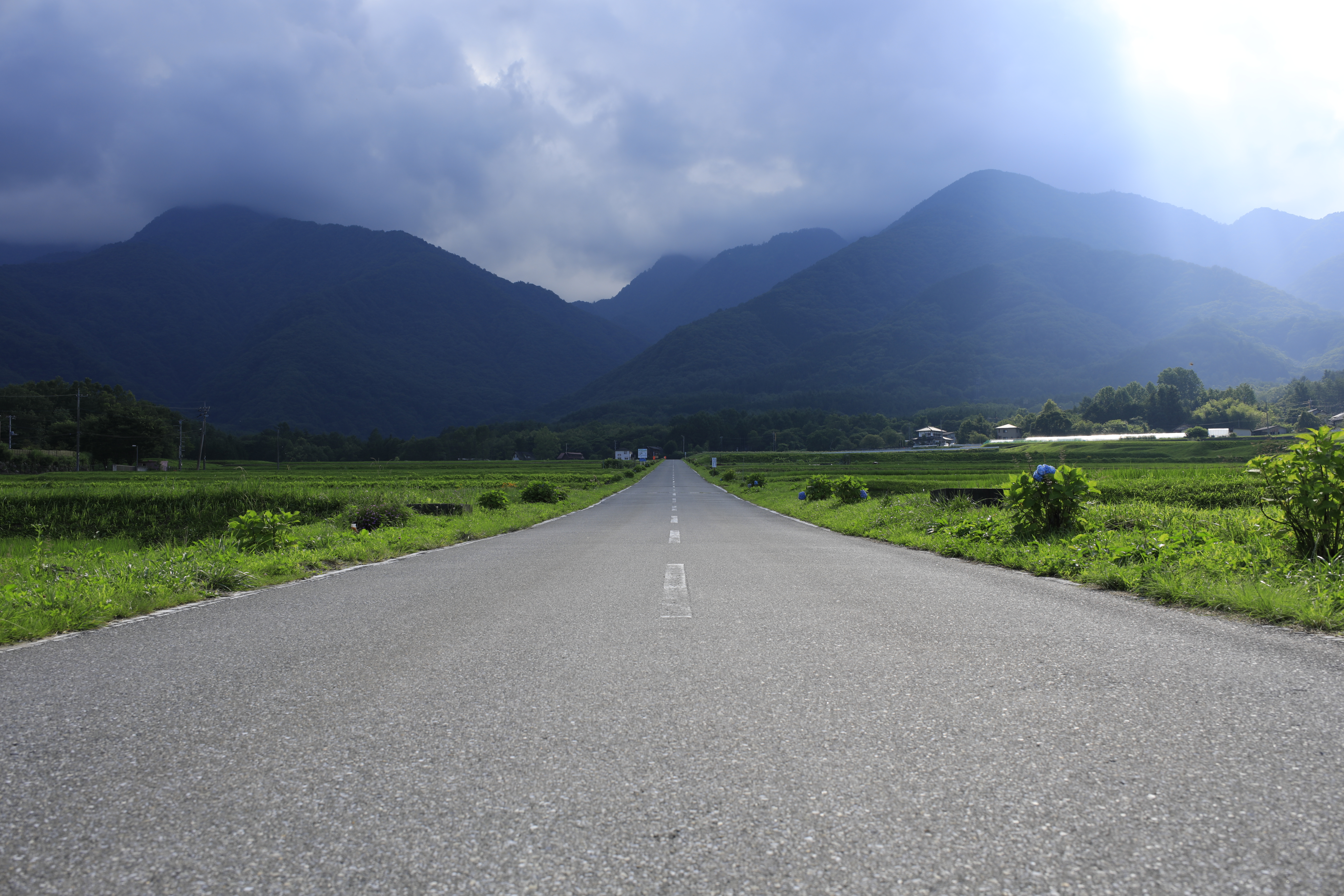 EOS 5D Mark IV / SP 35mm F/1.4 Di USD / 絞り優先AE（1/200秒・F8.0・±0.0EV） / ISO 100