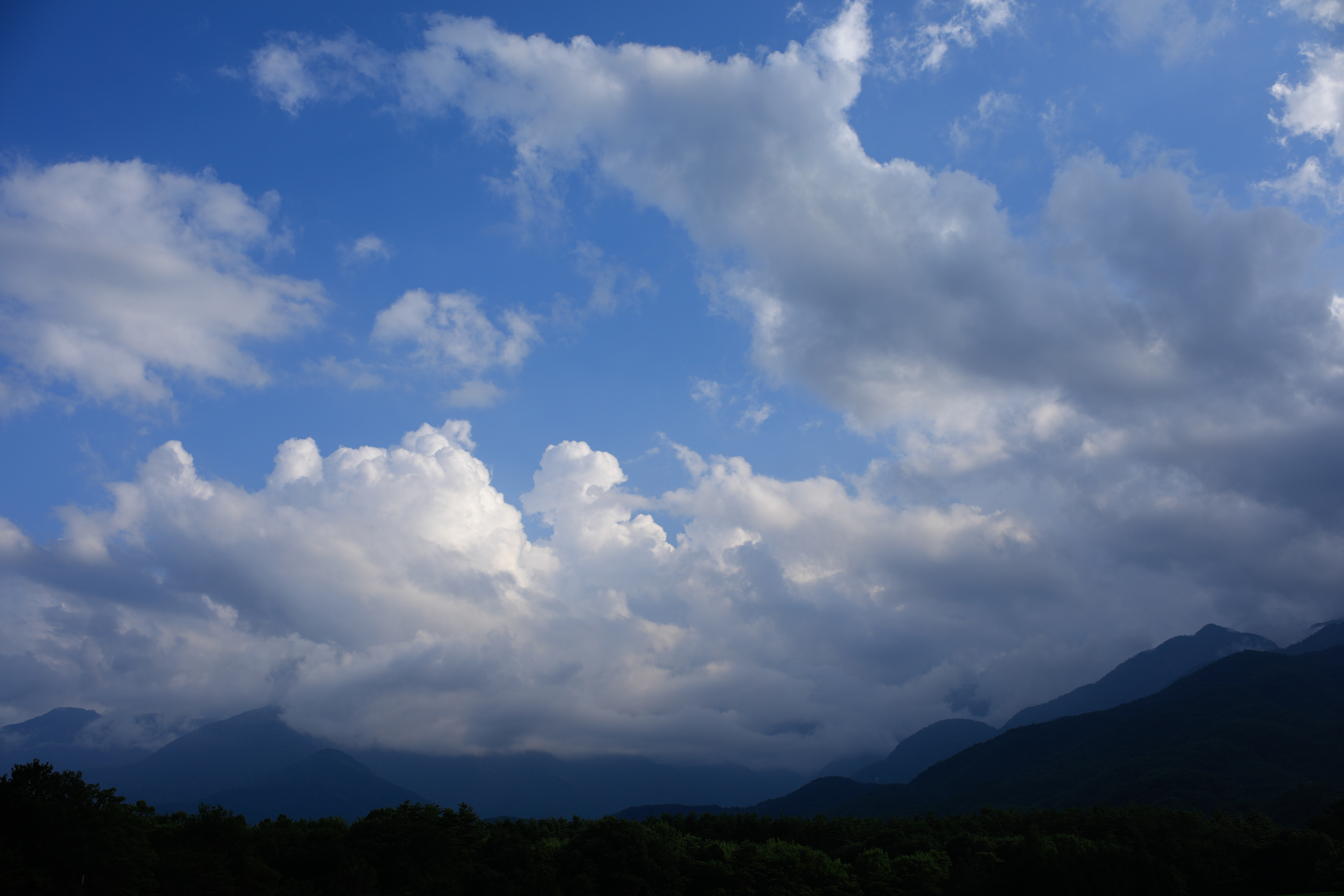 EOS 5D Mark IV / SP 35mm F/1.4 Di USD / 絞り優先AE（1/400秒・F5.6・+0.3EV） / ISO 50