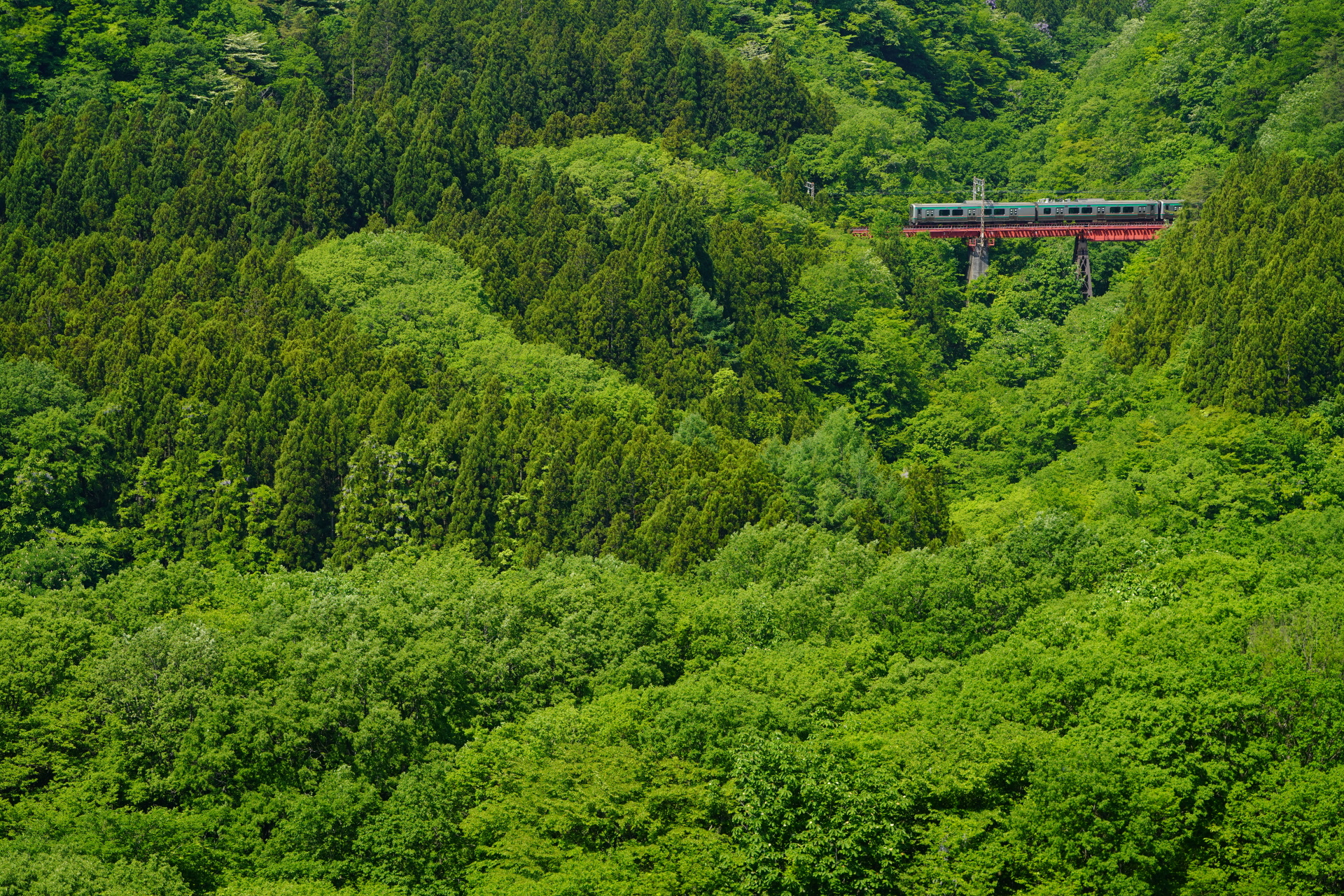 ソニーα7R III　FE 100-400mm F4.5-5.6 GM OSS（100mm）　絞り優先オート（F7.1、1/320秒）　ISO 400　WB:太陽光　風景