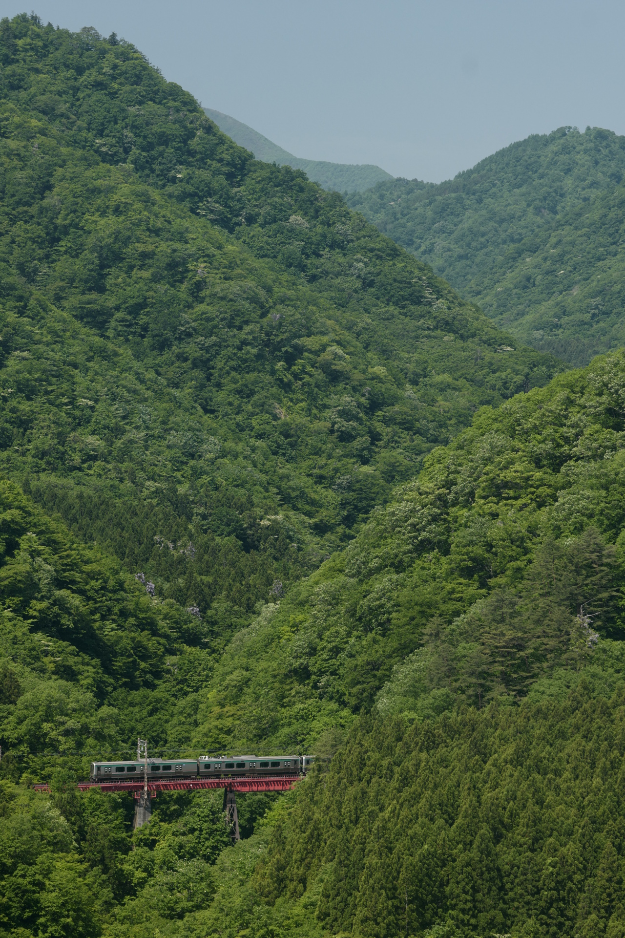 ライカSL (Typ 601)　APO-VARIO-ELMARIT-SL F2.8-4/90-280mm（123mm）　絞り優先オート（F6.3、1/500秒）　ISO 400　WB:太陽光