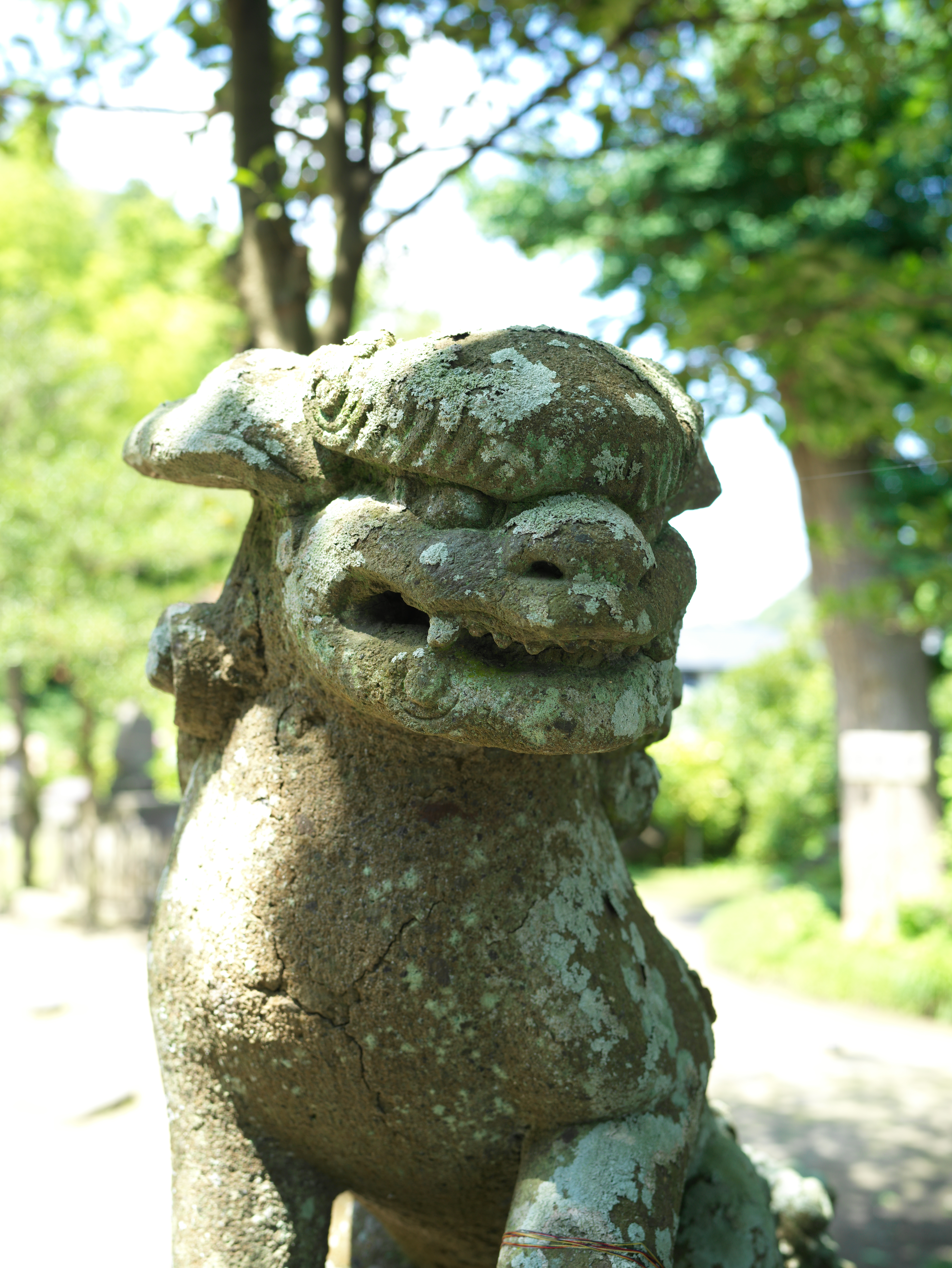 カメラ内生成JPEG