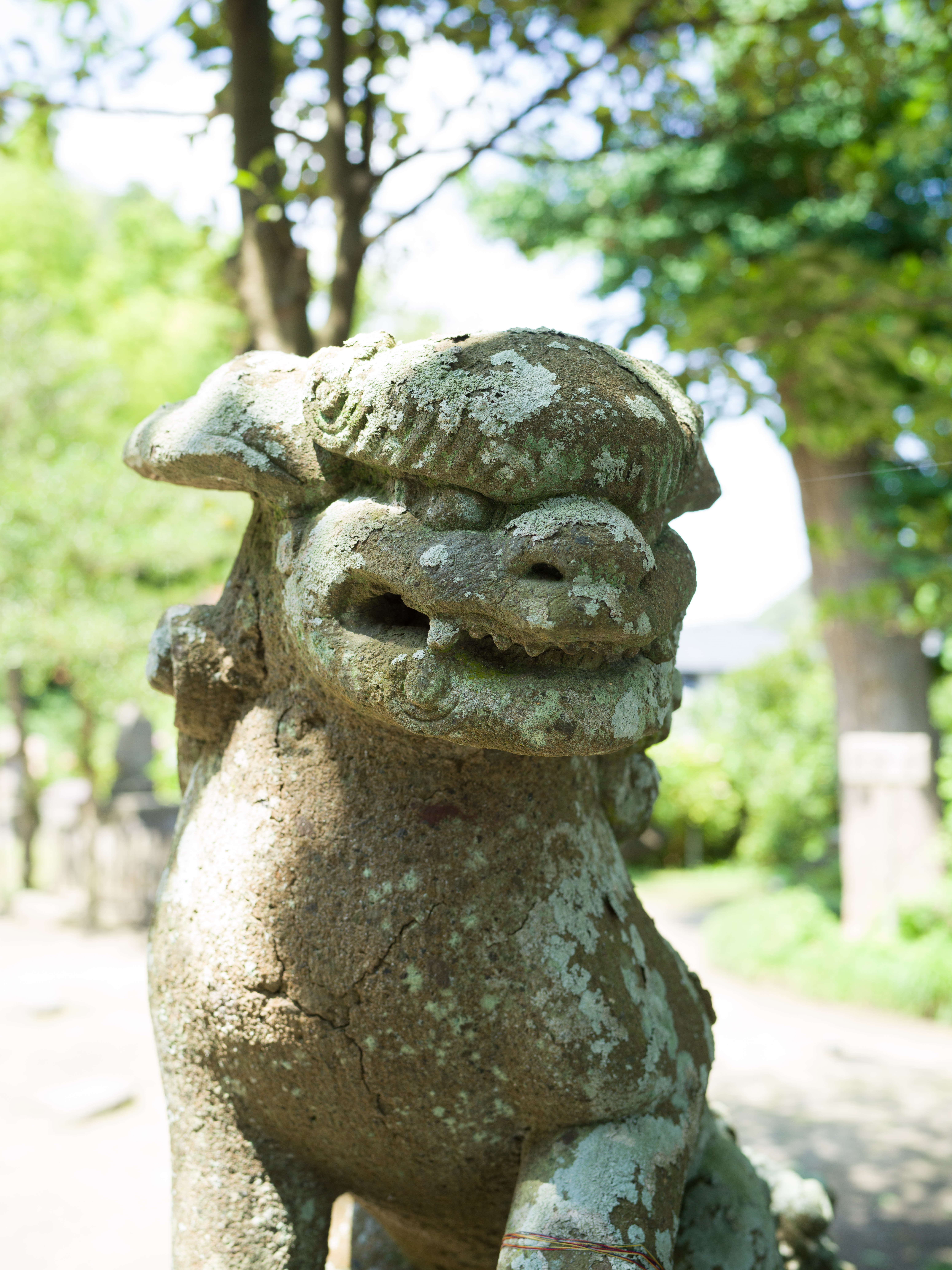 RAWからストレート現像