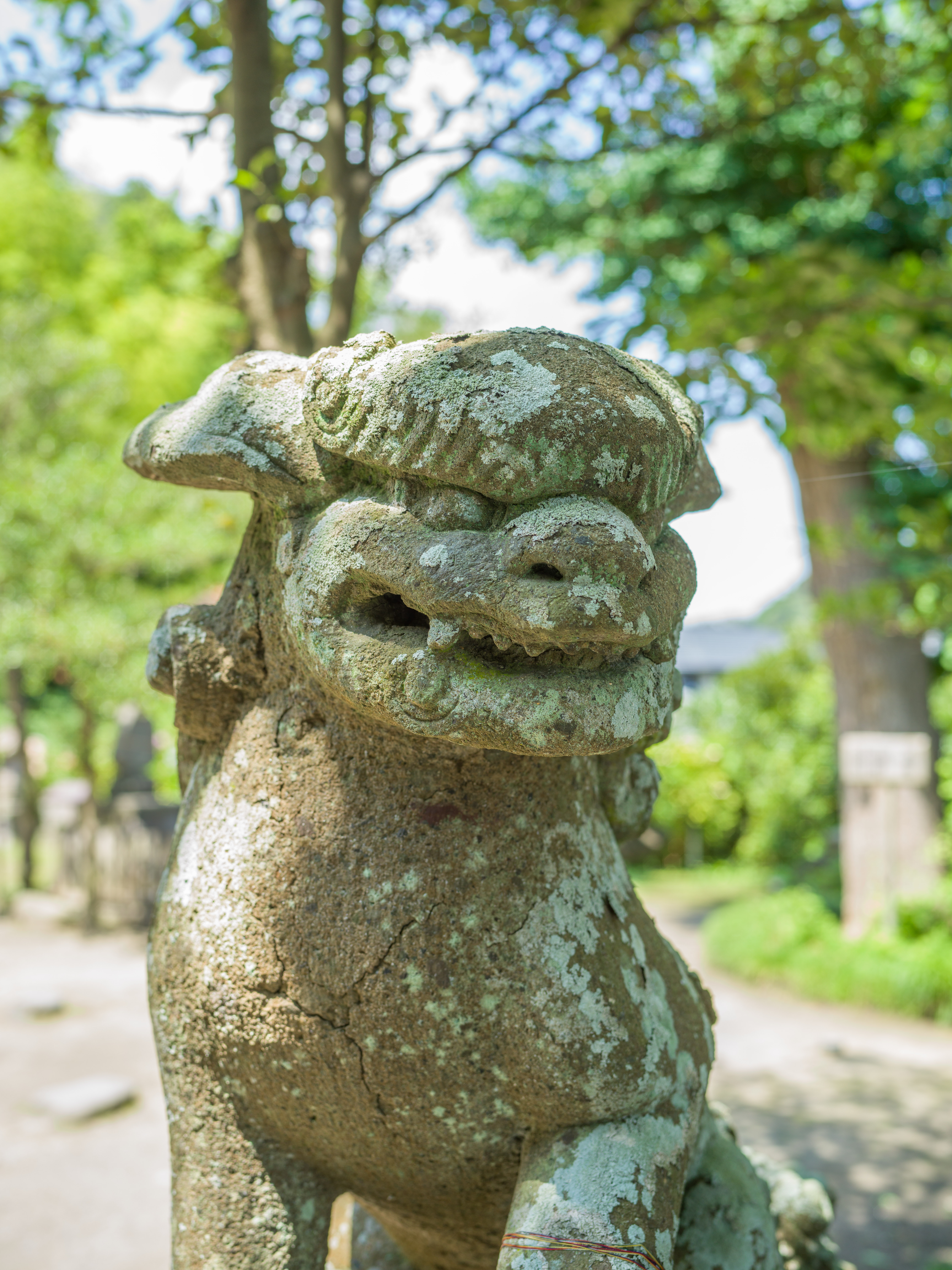 RAWデータをレタッチしたもの