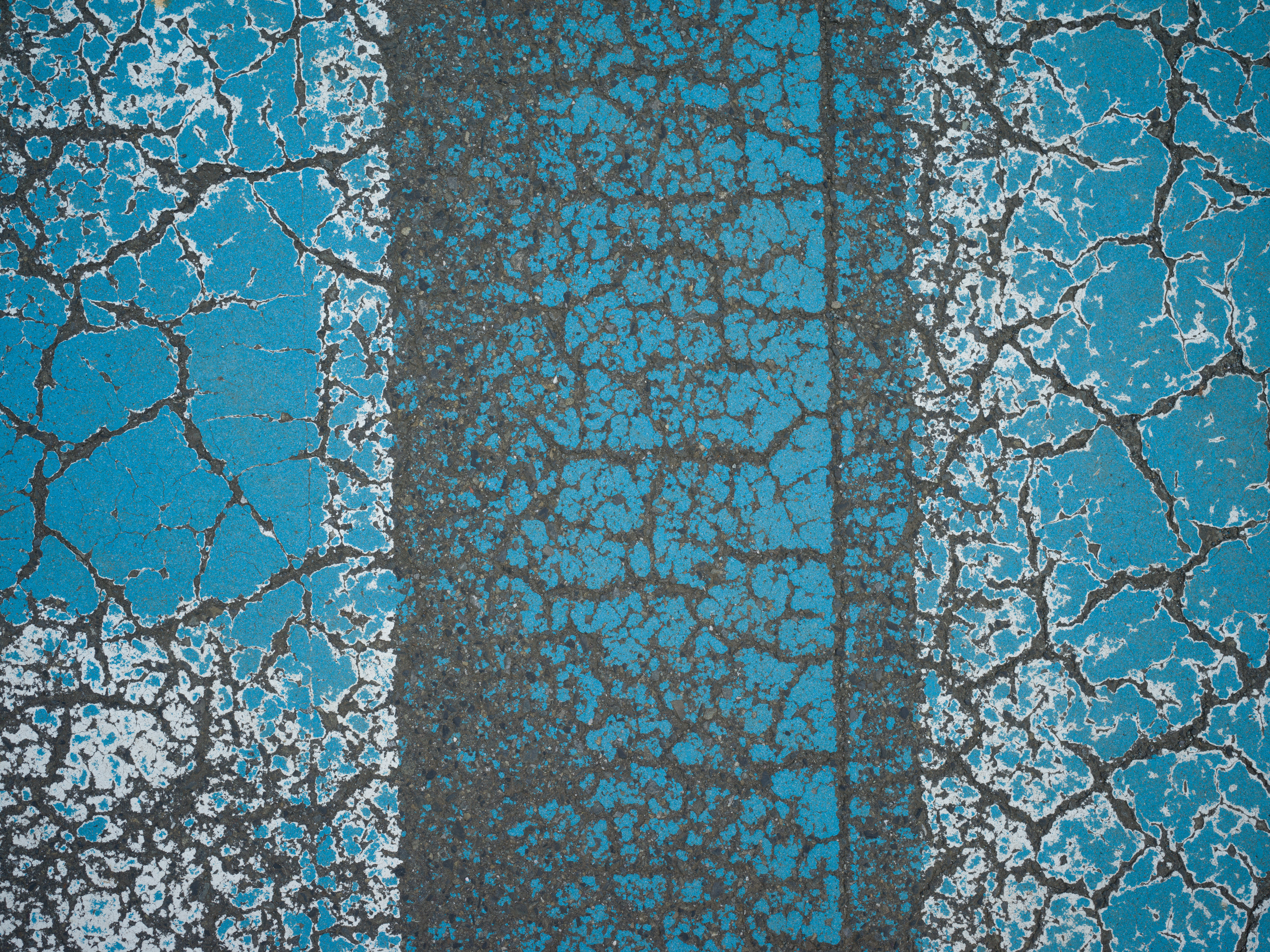 X1D II 50C　XCD 3,5/45　ISO 200　F5.6　1/2,000秒　-0.7EV