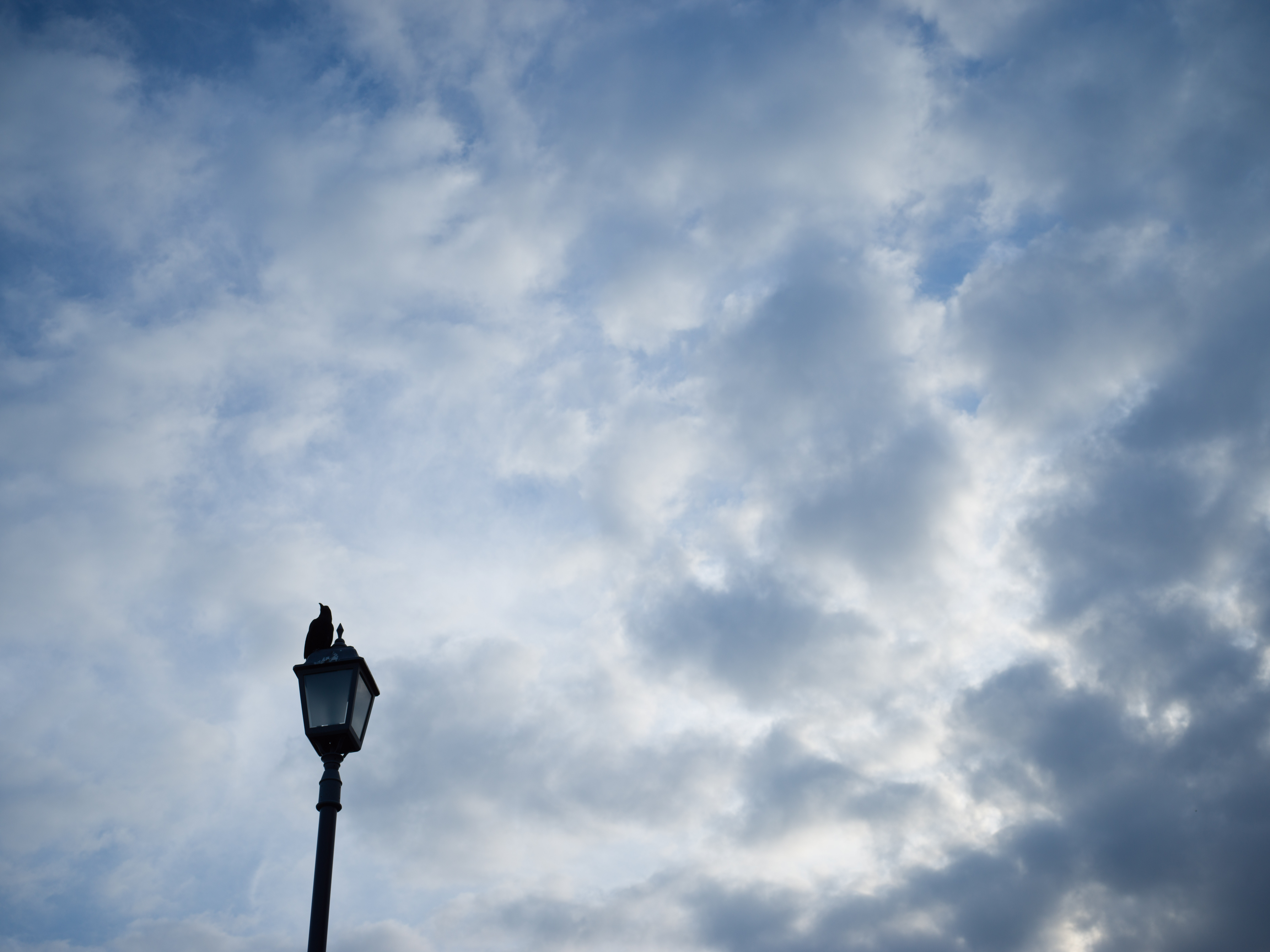 X1D II 50C　XCD 3,5/45　ISO 200　F4.5　1/2,000秒　+1.3EV