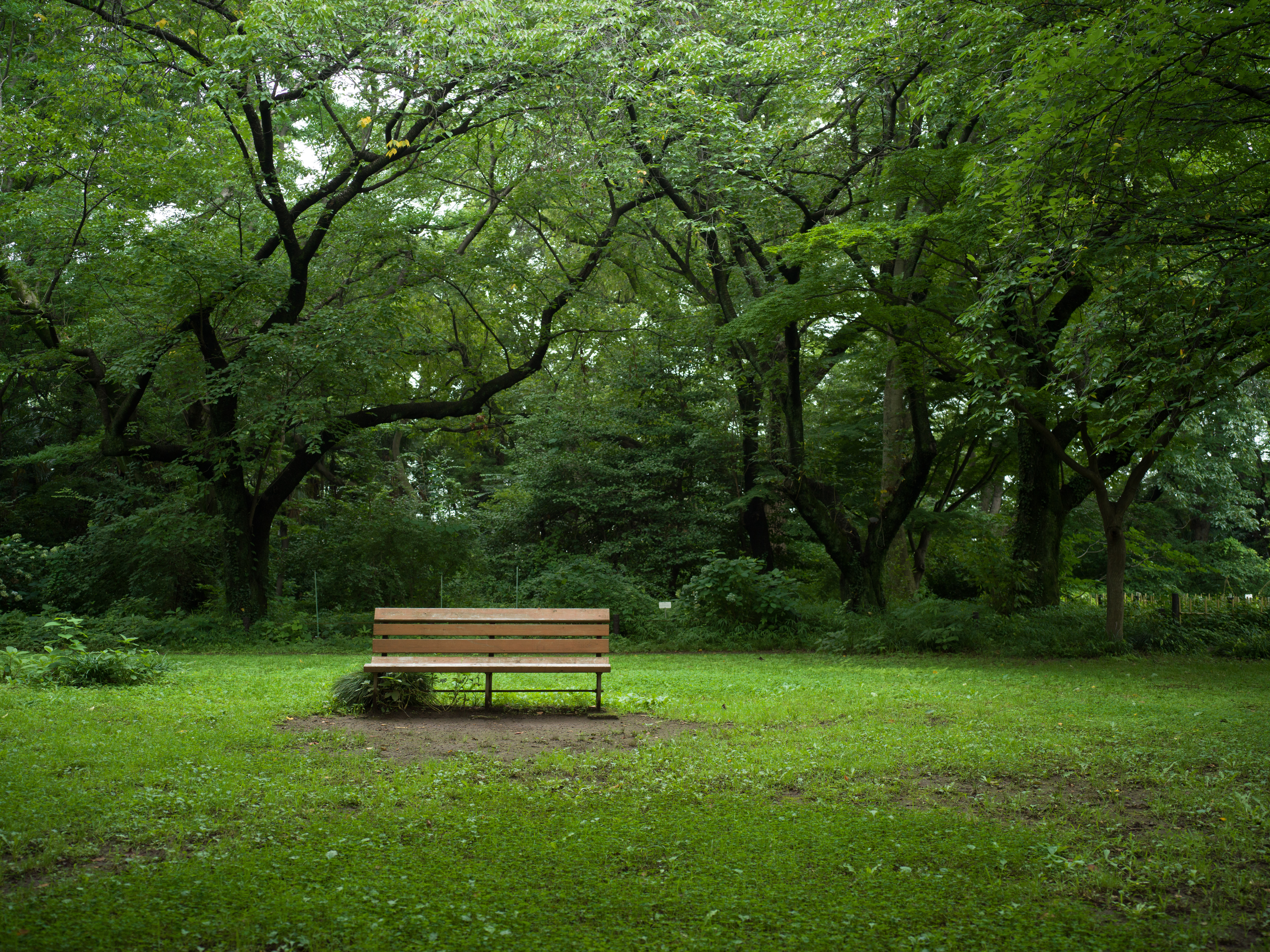 X1D II 50C　XCD 3,5/45　ISO 800　F5　1/500秒　-0.8EV