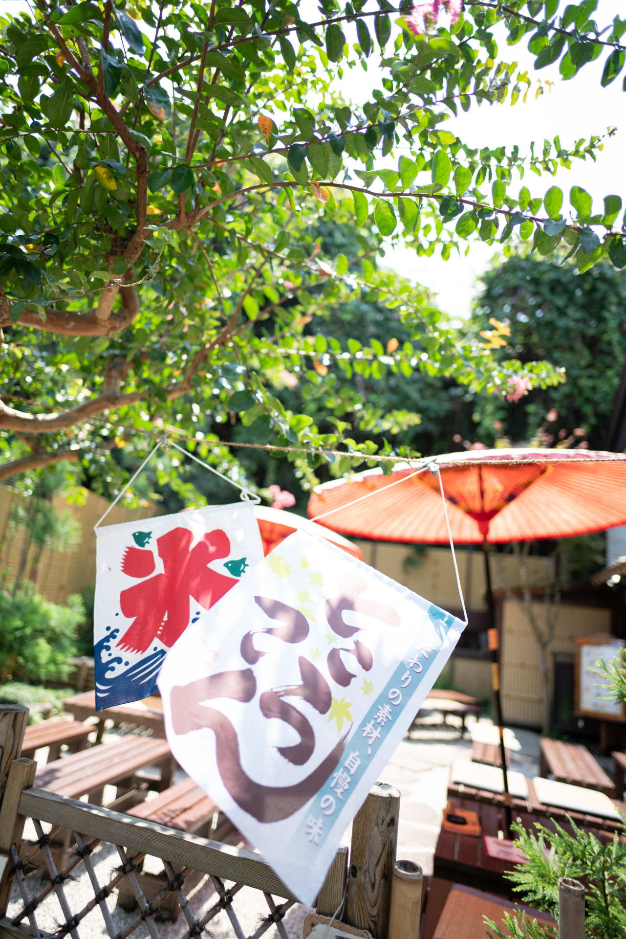 α7 III　NOKTON 21mm F1.4 Aspherical E-mount　ISO 100　F1.4　1/1,000秒