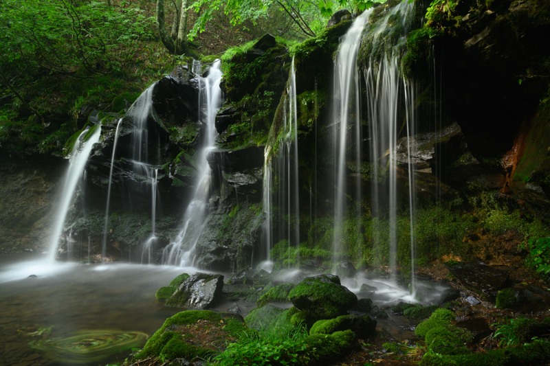 草木の1本1本、滝に打たれる岩の硬質感、はじけ飛ぶ飛沫。すべてが鮮明に写し出され、まるで眼前にあるかと錯覚してしまうほどの解像力。階調性が良く陰影の描写が非常に美しいので空気感や立体感のある写真に仕上がった。<br><span class="fnt-85">Nikon Z 7 / NIKKOR Z 24-70mm f/2.8 S / 24mm / 絞り優先AE（F13、13秒、-0.3EV） / ISO 100</span>