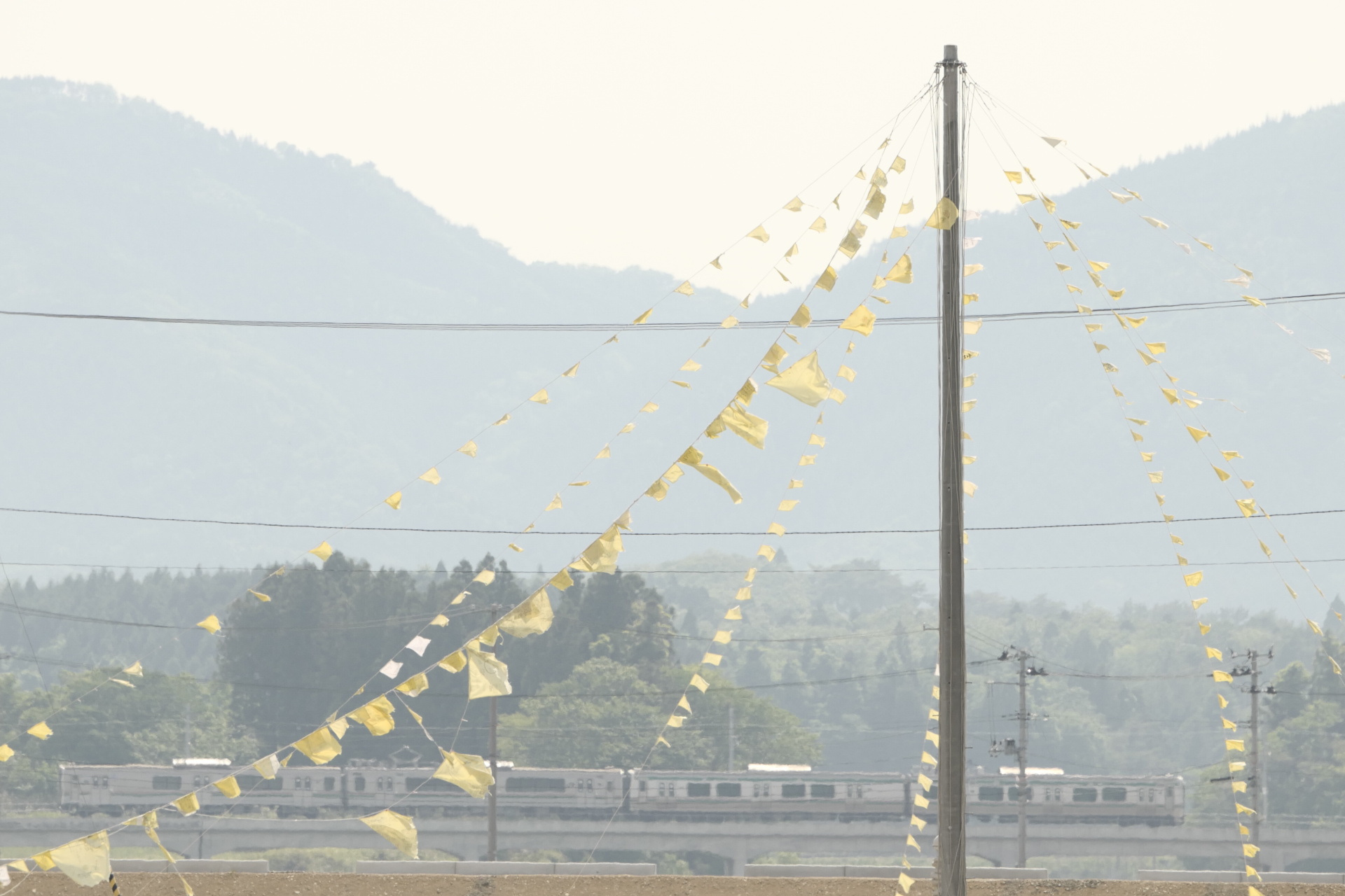 ライカSL (Typ 601)　APO-VARIO-ELMARIT-SL F2.8-4/90-280mm（257mm）　マニュアル露出（F5.6、1/1,000秒）　ISO 400　WB:日陰