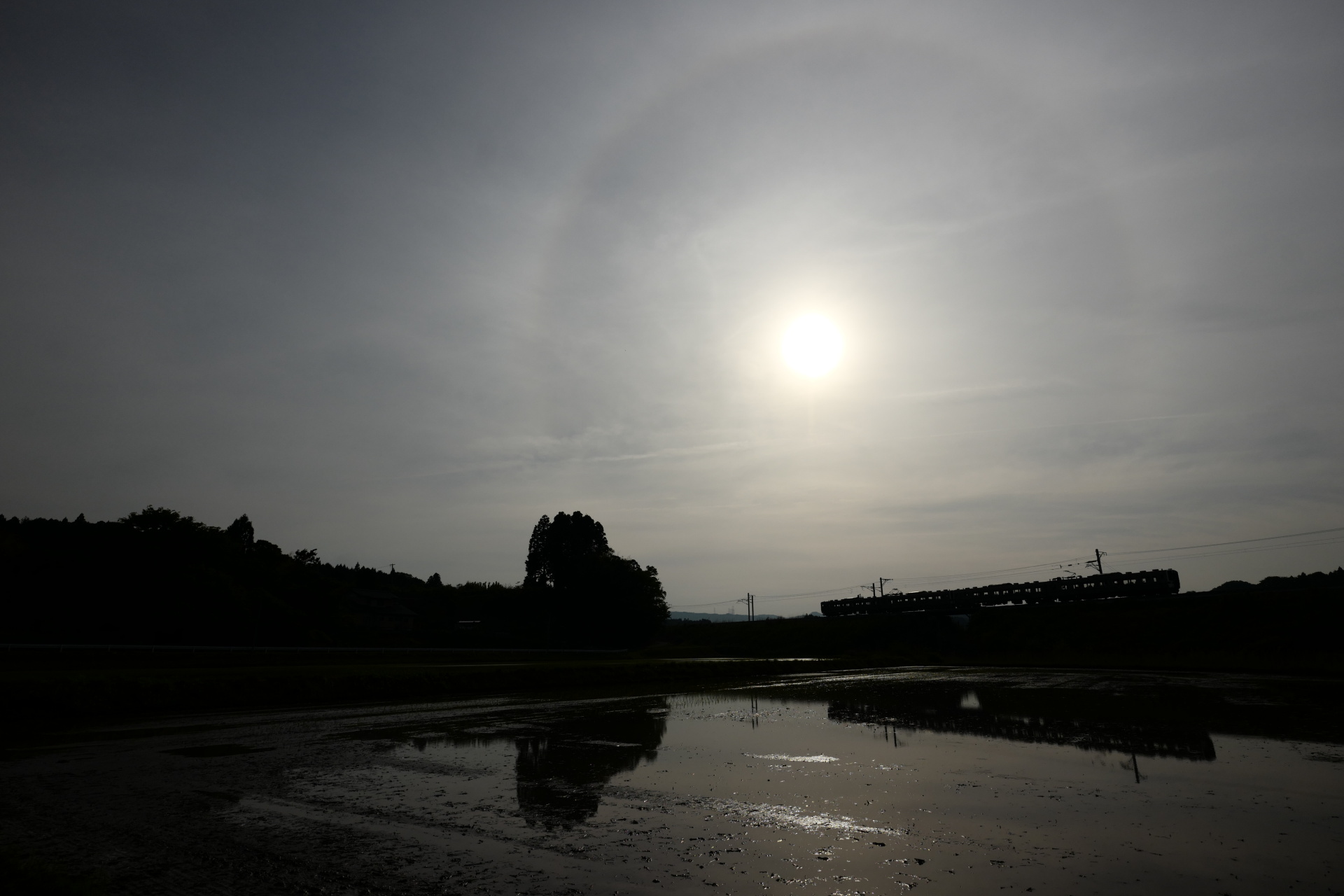 ライカSL (Typ 601)　SUPER-VARIO-ELMAR-SL F3.5-4.5/16-35mm ASPH.　（19mm）　絞り優先オート　（F7.1、1/400秒）　ISO 400　WB:太陽光