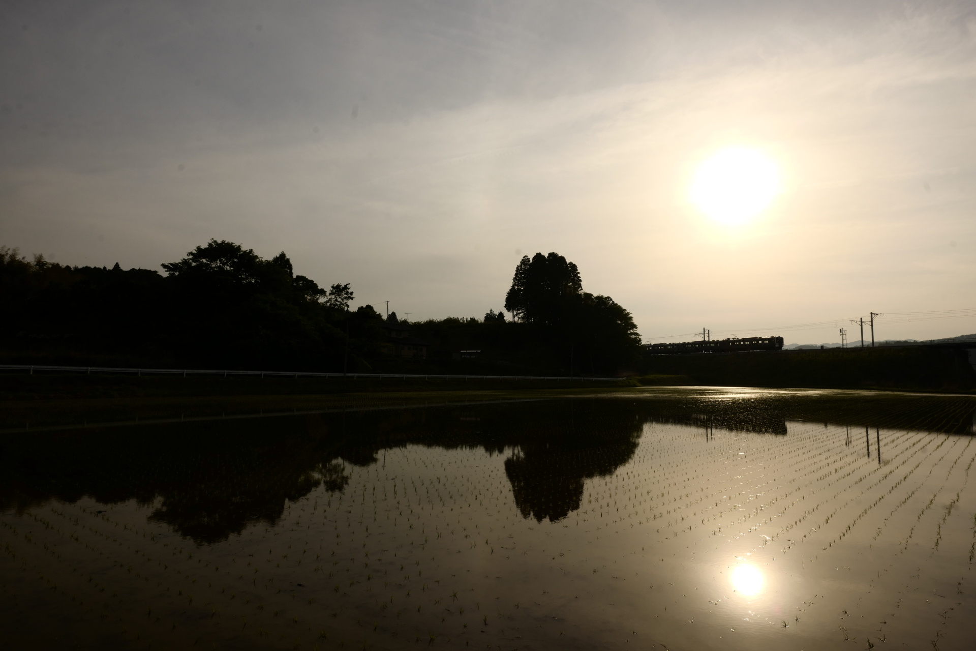 ライカSL (Typ 601)　SUPER-VARIO-ELMAR-SL F3.5-4.5/16-35mm ASPH.　（21mm）　絞り優先オート　（F18、1/640秒）　ISO 400　WB:日陰