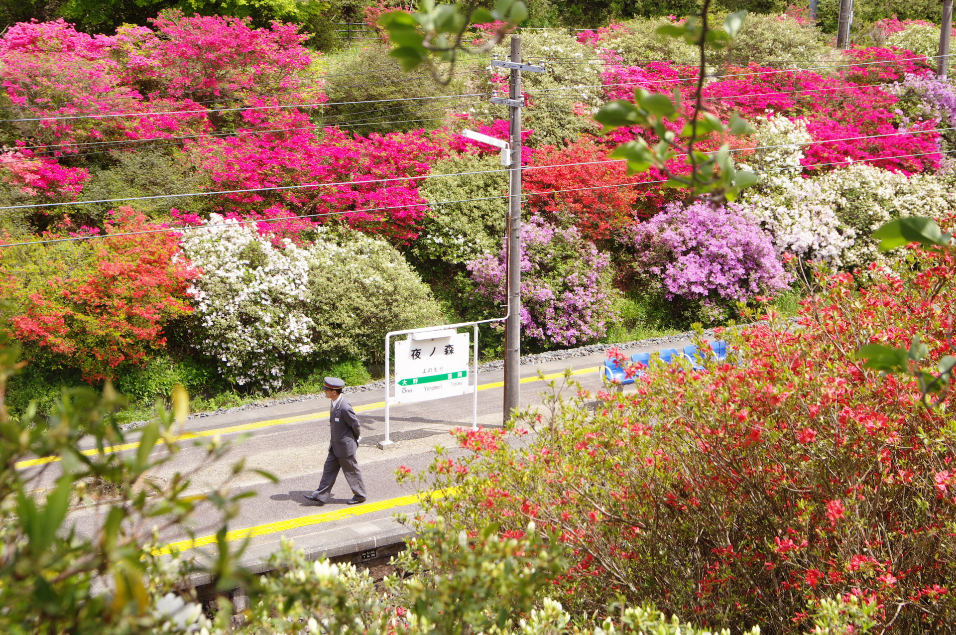 ペンタックスK-x smc PENTAX-DA 50-200mm F4-5.6 ED（64mm）　絞り優先AE（F6.7、1/350秒）　ISO 200　WB:曇天